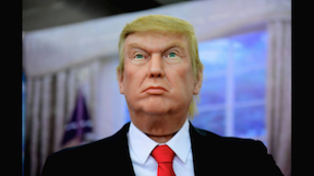 Wax trump
