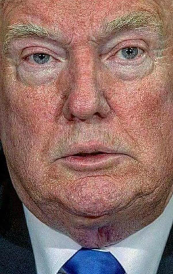 awful trump pic copy