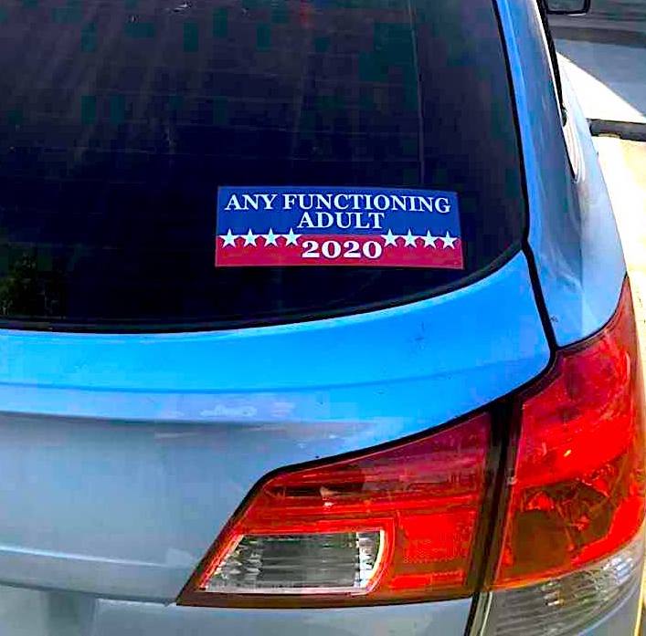 Any Functioning Adult 2020 copy