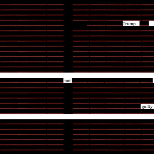 Cover Me (redacted report)